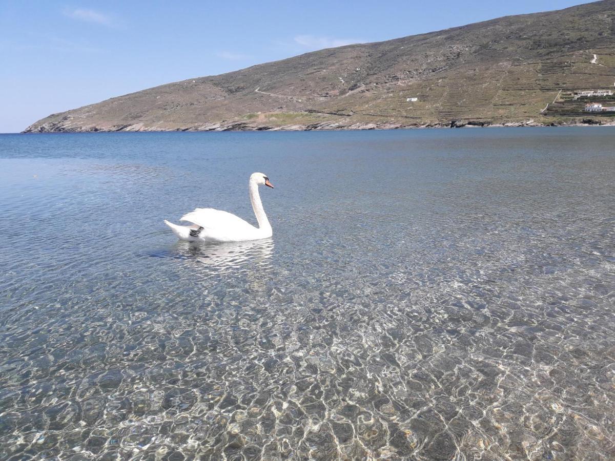 Liopi Village Andros Ormos  Eksteriør billede